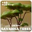 3D Low Poly Savanna Trees model