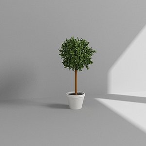 3d model topiary plant