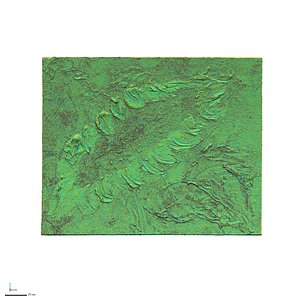 brushstroke brush 3D model