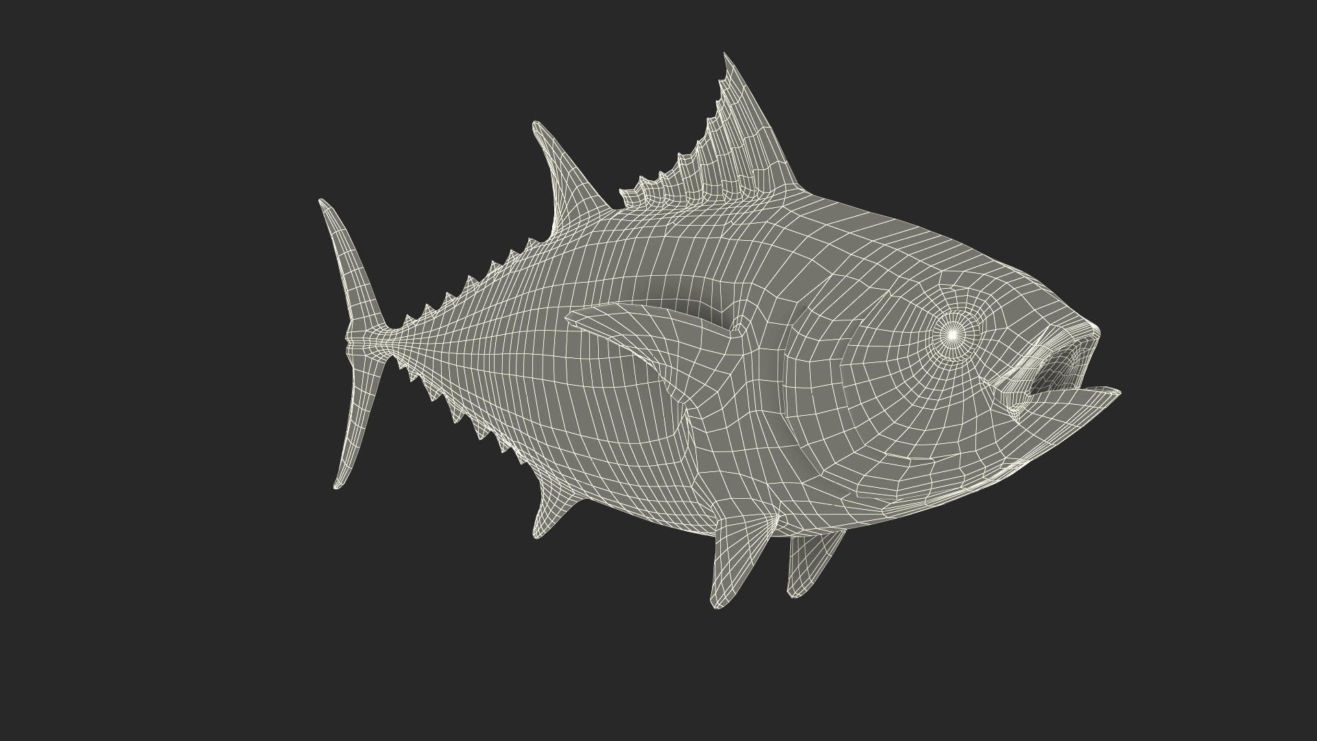 3D Bluefin Tuna Rigged for Cinema 4D model https://p.turbosquid.com/ts-thumb/Da/9MW3Sb/8a/bluefin_tuna_rigged_361/jpg/1743247095/1920x1080/turn_fit_q99/916378eb48380a7951db4e6316a0b3ff8adc3e77/bluefin_tuna_rigged_361-1.jpg