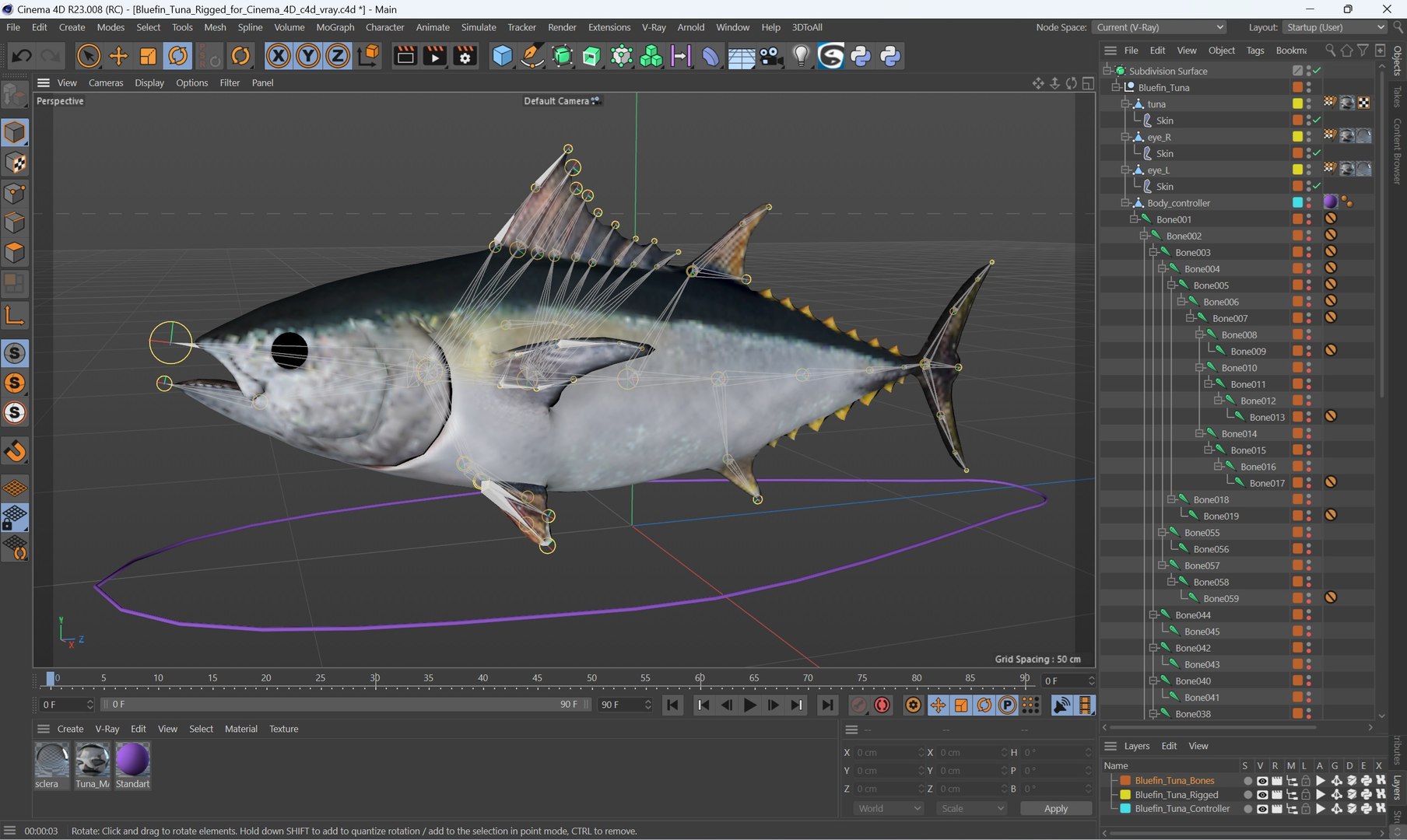 3D Bluefin Tuna Rigged for Cinema 4D model https://p.turbosquid.com/ts-thumb/Da/9MW3Sb/9F/bluefin_tuna_rigged_for_cinema_4d_003/jpg/1743247325/1920x1080/fit_q87/f47f5fca2304409f1a5bef346d7fb9fb416a3935/bluefin_tuna_rigged_for_cinema_4d_003.jpg