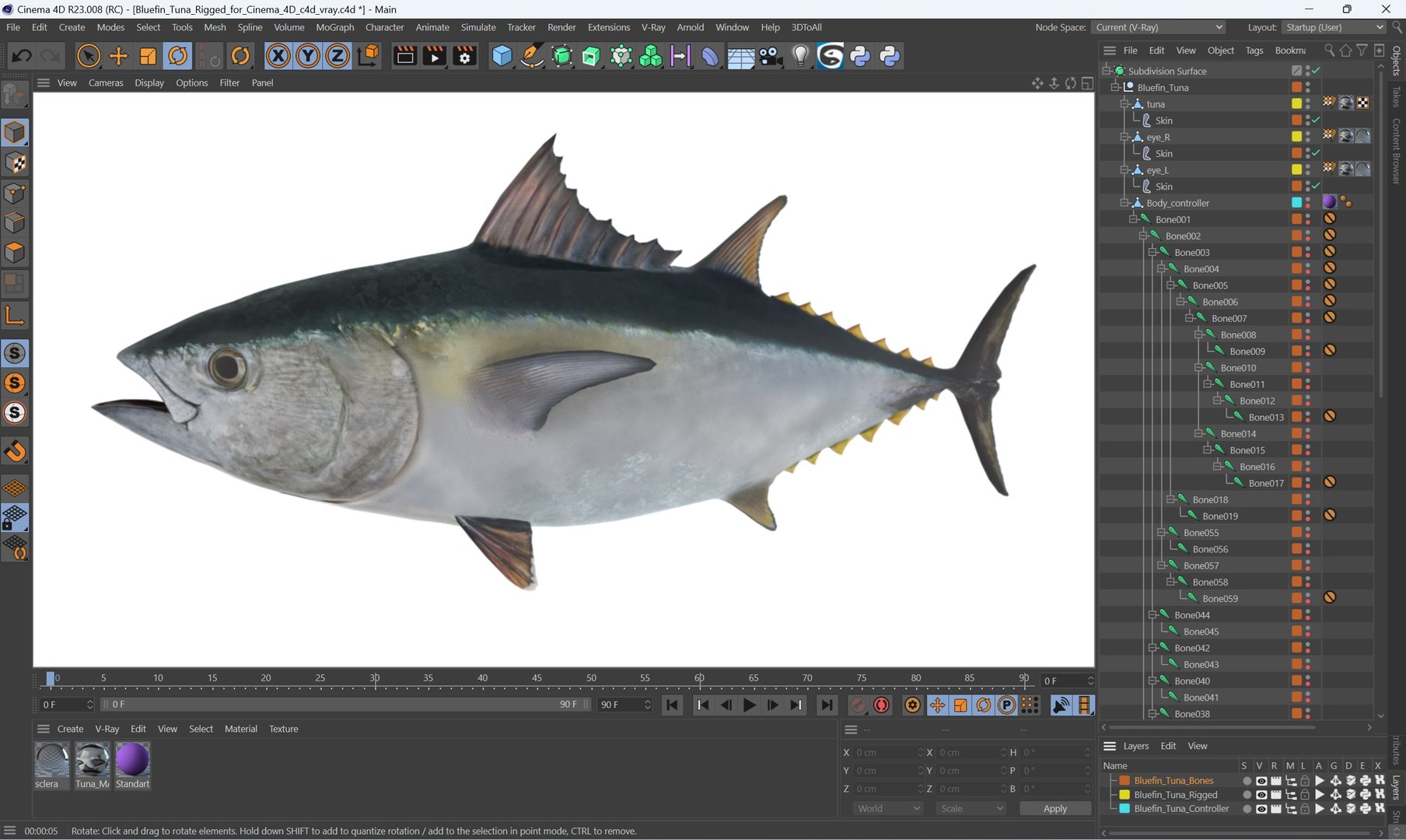 3D Bluefin Tuna Rigged for Cinema 4D model https://p.turbosquid.com/ts-thumb/Da/9MW3Sb/iF/bluefin_tuna_rigged_for_cinema_4d_006/jpg/1743247350/1920x1080/fit_q87/adc699076542cf0750fc8618a99a81f6e3393dbc/bluefin_tuna_rigged_for_cinema_4d_006.jpg