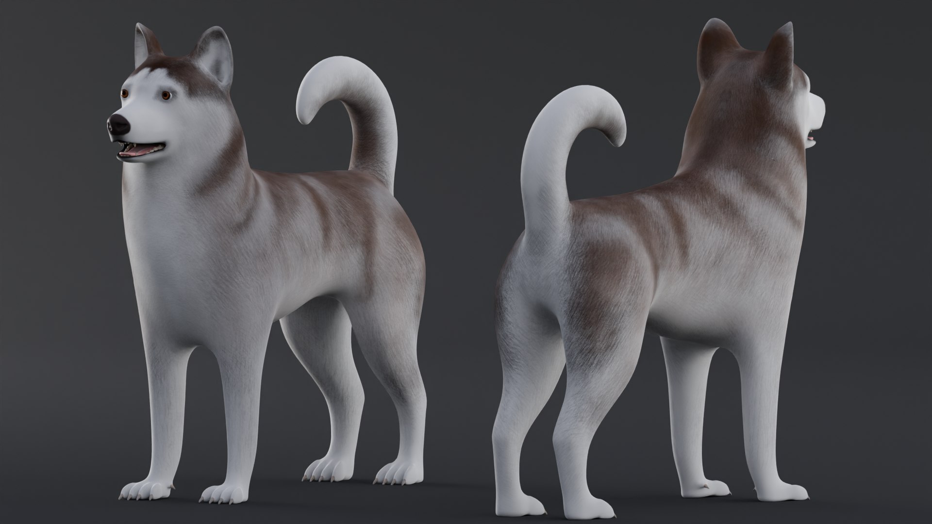 Dog Alaskan Malmute Low Poly Model Game AR VR 3D - TurboSquid 1762379