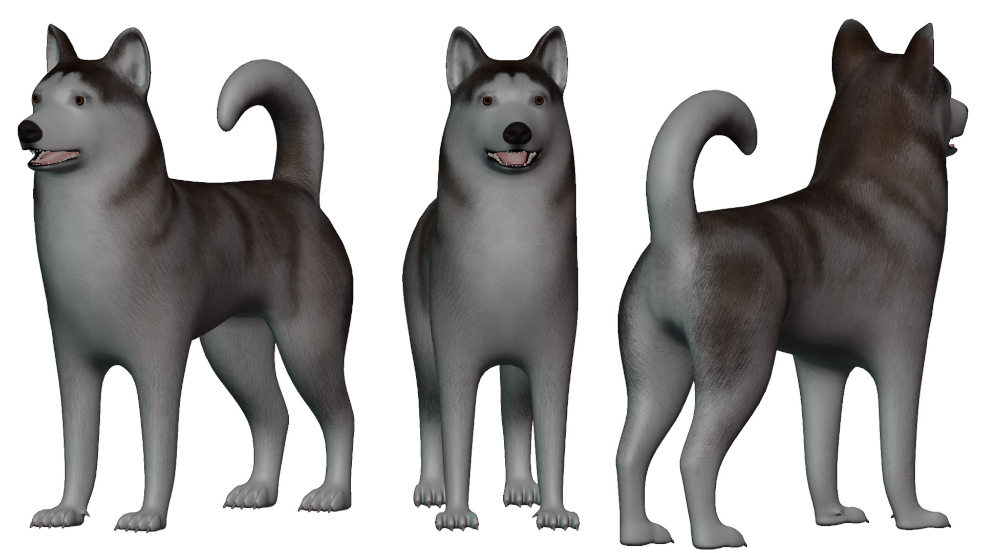 Dog Alaskan Malmute Low Poly Model Game AR VR 3D - TurboSquid 1762379