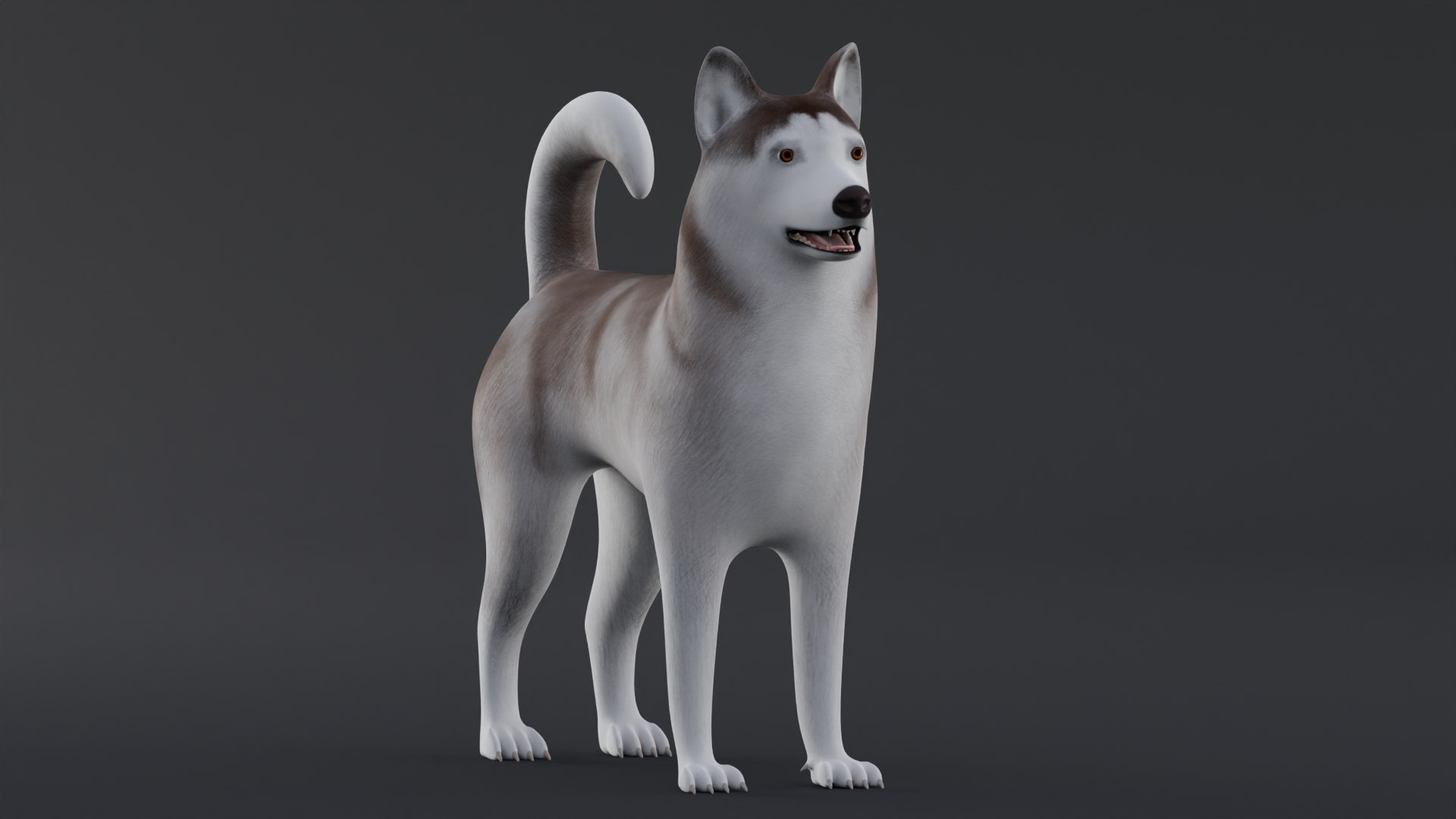 Dog Alaskan Malmute Low Poly Model Game AR VR 3D - TurboSquid 1762379