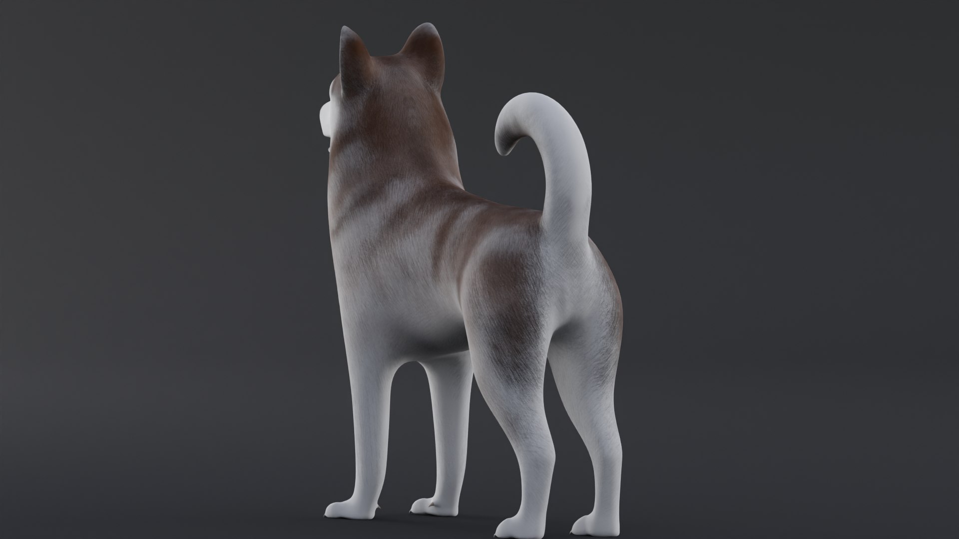 Dog Alaskan Malmute Low Poly Model Game AR VR 3D - TurboSquid 1762379
