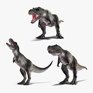 Rigged T Rex Roaring Animated Collection