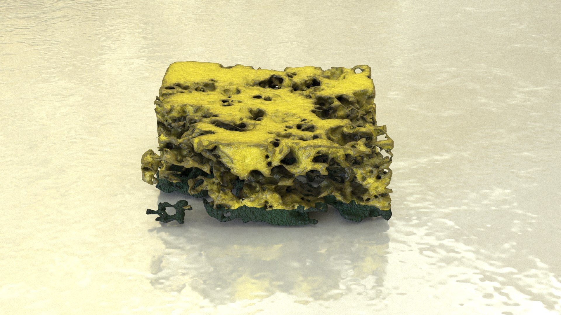 Sponge Spoiled 3D Model - TurboSquid 1693528