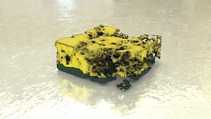 sponge spoiled 3D model
