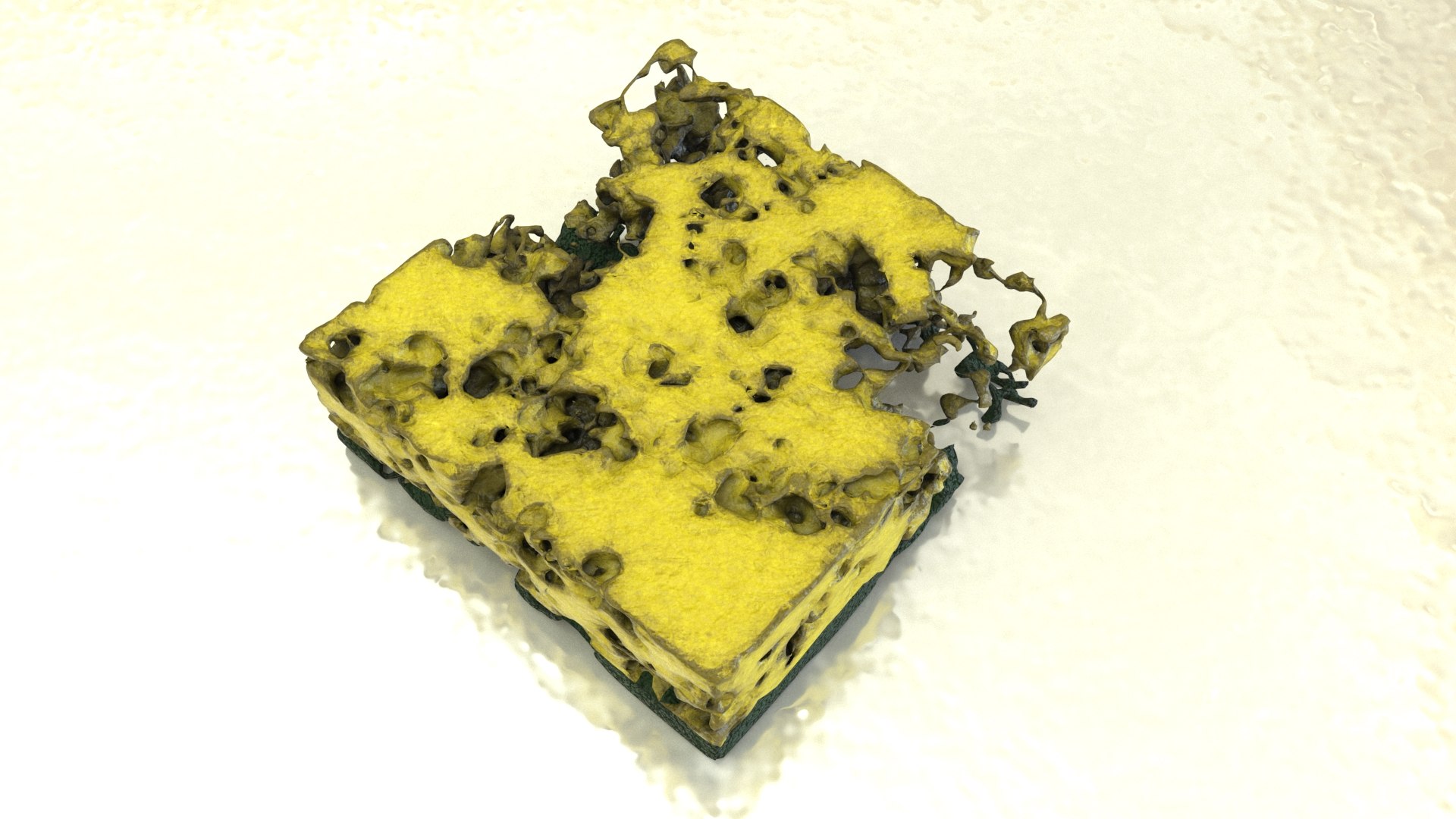 Sponge spoiled 3D model - TurboSquid 1693528