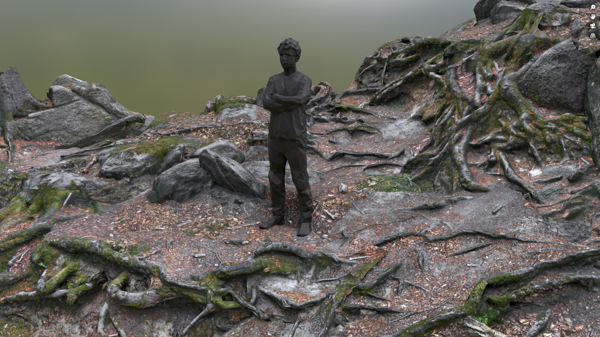 6 Beech Forest Ground Roots - Scan PBR Game Ready 3D Model - TurboSquid ...
