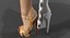 heels 3D model