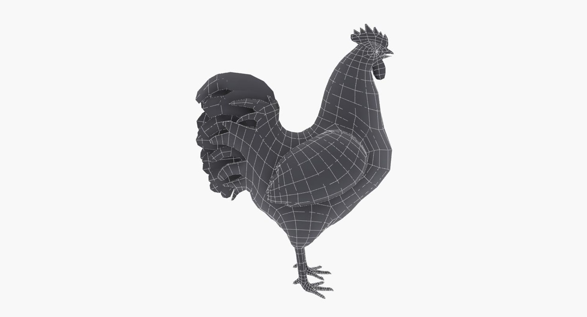 Rooster 3d Model