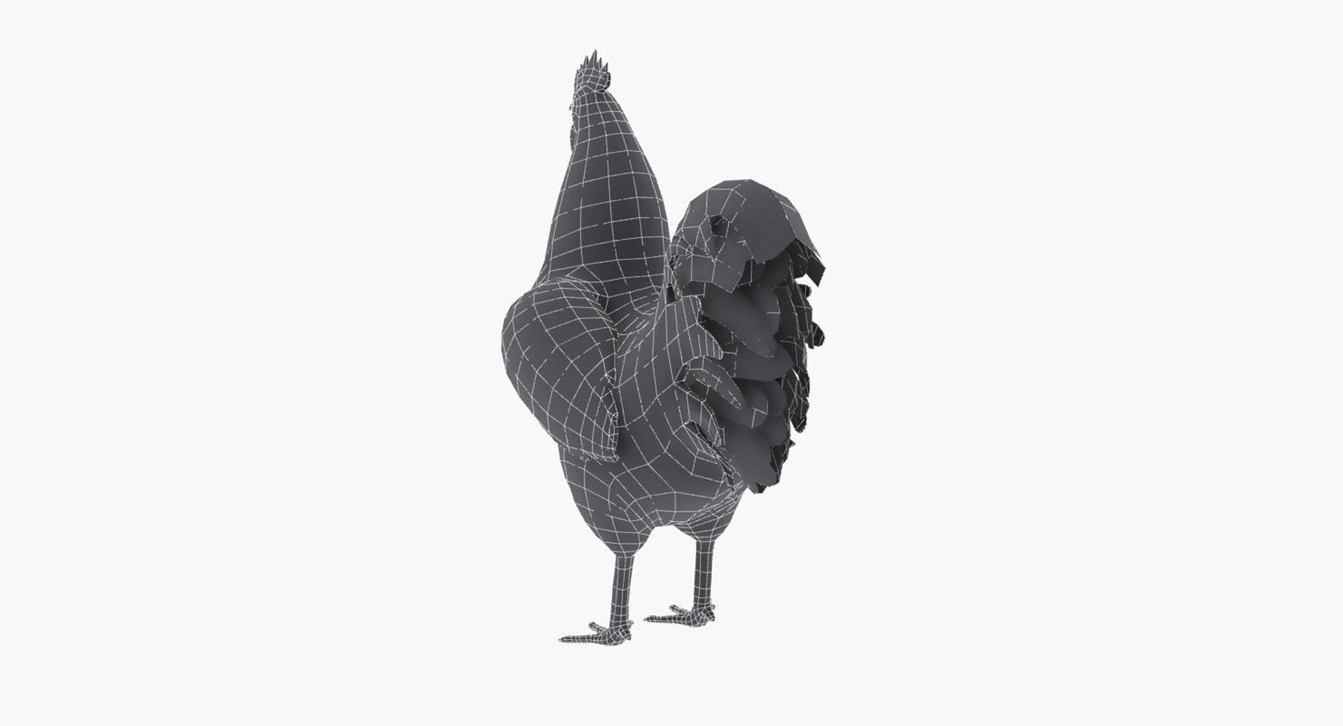 Rooster 3d Model