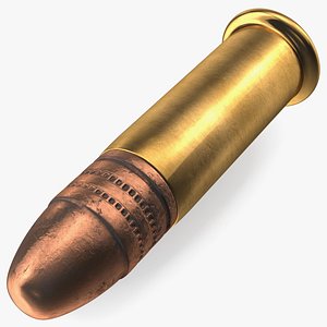 22 Caliber Bullet