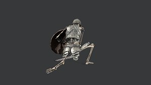 3D Skeleton Warrior