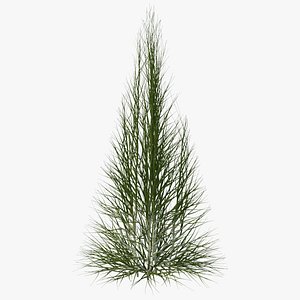 3D model bare branches