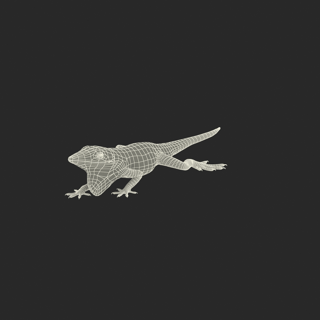 3d Model Of Carolina Anole Lizard Pose