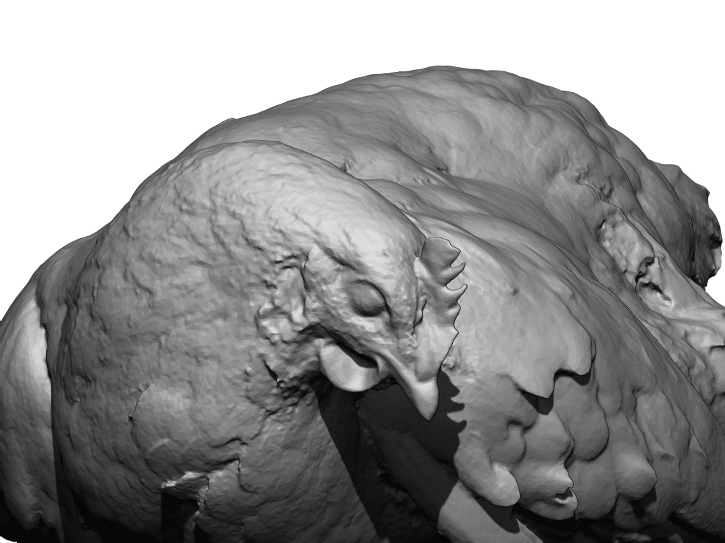 Real Chicken Scanned Model - TurboSquid 1387069