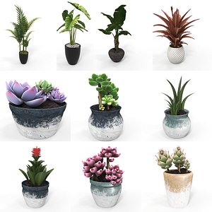 plant pot 3D model
