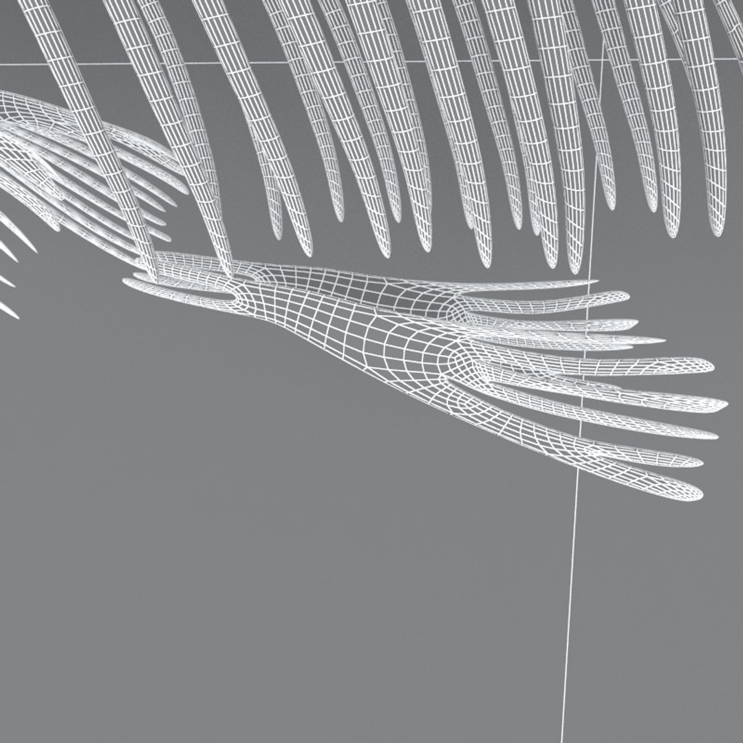 fish skeleton structure 3D https://p.turbosquid.com/ts-thumb/Db/nafEYa/0Lr56wV8/07/jpg/1579181292/1920x1080/fit_q87/8e8ba9ca9fc3ae5b87881e9418fb0f5bb0e78b81/07.jpg