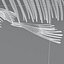 fish skeleton structure