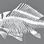 fish skeleton structure