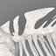 fish skeleton structure