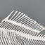 fish skeleton structure
