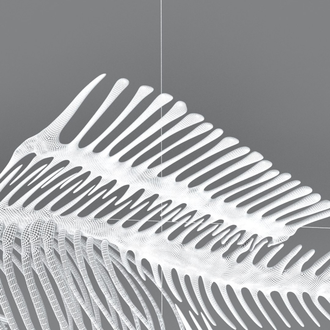 fish skeleton structure 3D https://p.turbosquid.com/ts-thumb/Db/nafEYa/ZEWEtdG8/08/jpg/1579181292/1920x1080/fit_q87/f4fb0980bb591dece6b569d3a0d5853449807d75/08.jpg