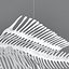 fish skeleton structure