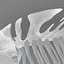 fish skeleton structure