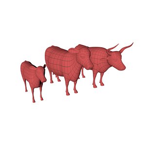 Cow bull and calf base mesh