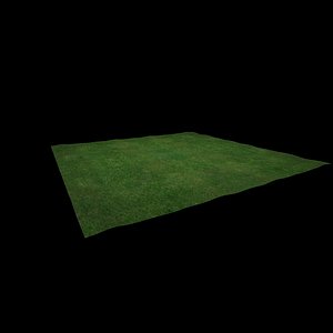 3D GrassLand Duco