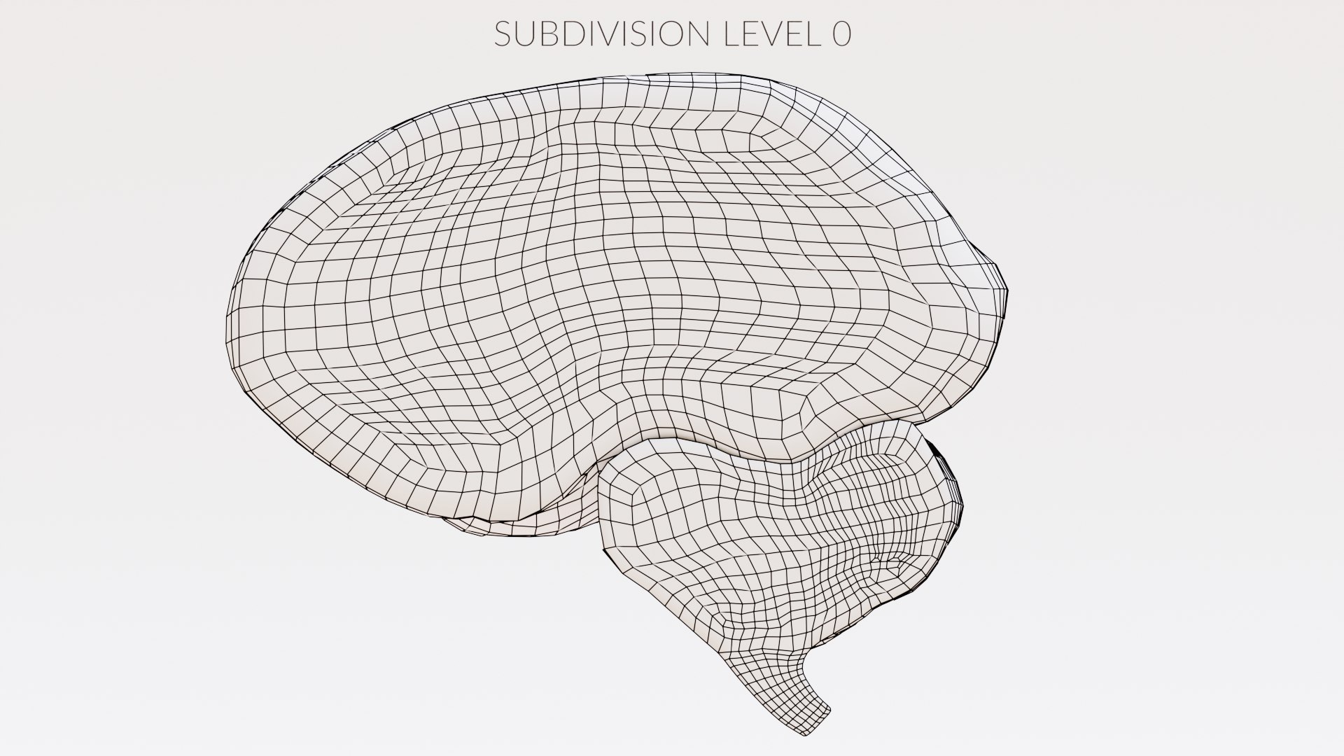 Realistic Brain Section 3D Model TurboSquid 2023926