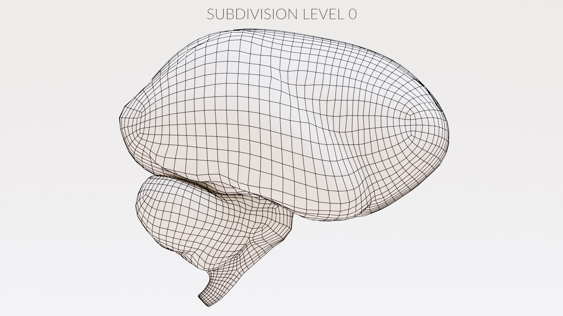 Realistic Brain Section 3D Model TurboSquid 2023926