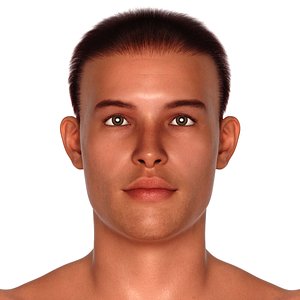 Frank 3D model