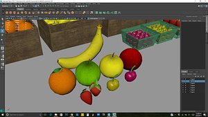 fruit model