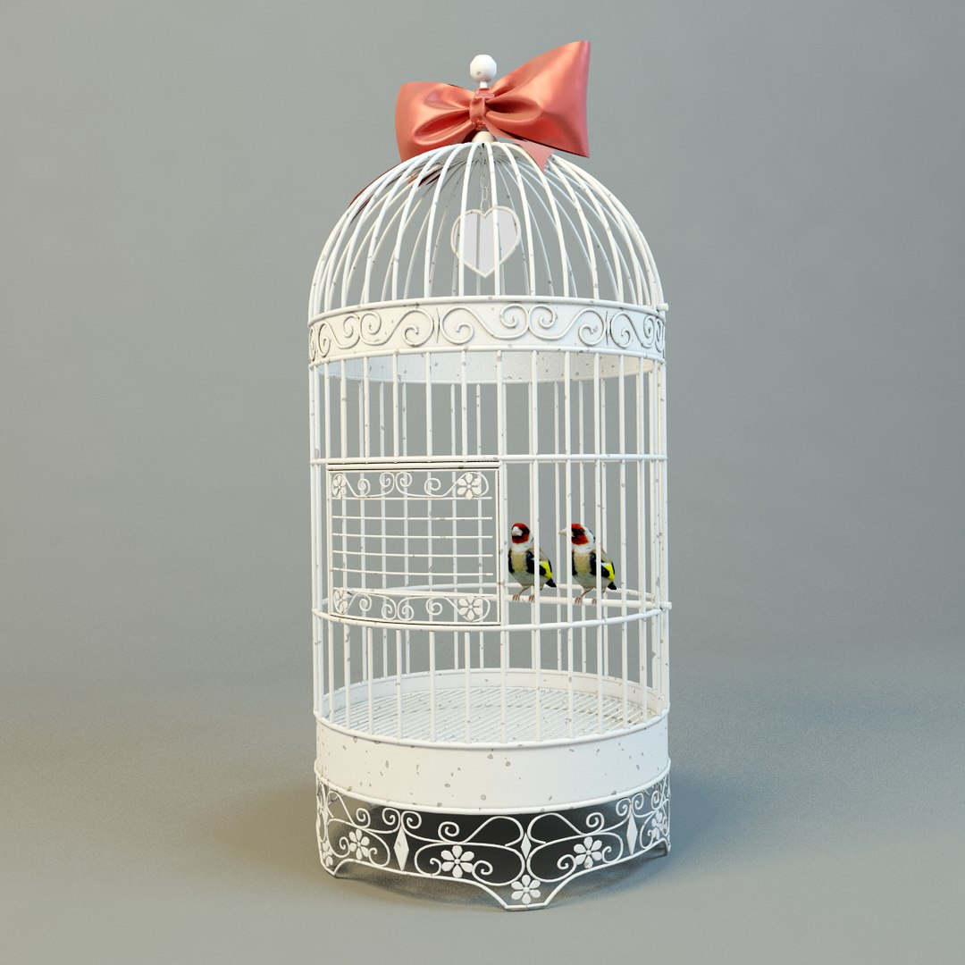 bird cage 3d model https://p.turbosquid.com/ts-thumb/Dc/MlpQtC/gWbsCr9u/cagewithbirds1/jpg/1464692682/1920x1080/fit_q87/441efc6014dc95d94e08d0d46a7d8a8b1fd83090/cagewithbirds1.jpg