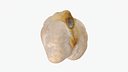 Dry Chickpea 01 - 3D Scanned