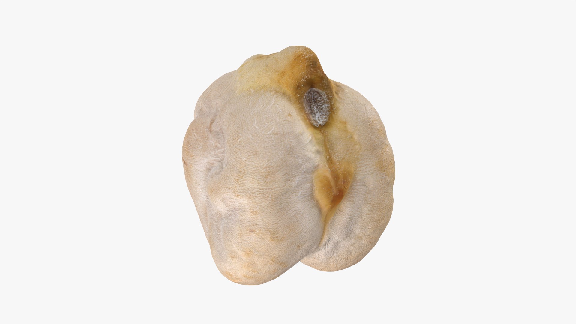 3D Dry Chickpea Collection model https://p.turbosquid.com/ts-thumb/Dc/TCkZjy/4S/chickpeadry01_0001/png/1790122634/1920x1080/fit_q87/ee8e95fa9307722f74cc47e8fa7c702b79acef6d/chickpeadry01_0001.jpg