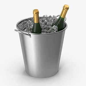 3D model Metal Bucket With Champagne Bottles