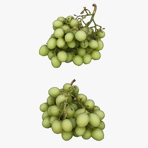3D Grape Collection 01