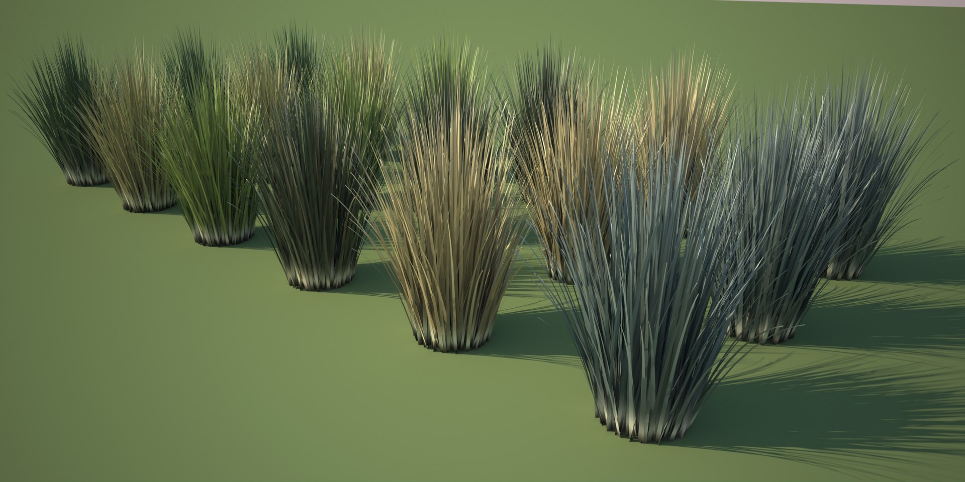 3d Ornamental Grass Maxwell Render Model
