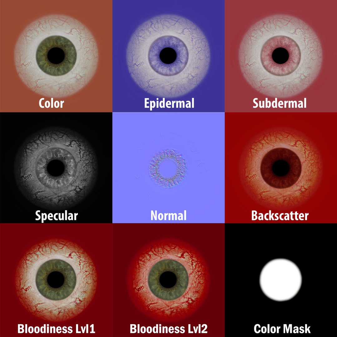 realistic human eye 3D https://p.turbosquid.com/ts-thumb/Dc/jUaBwB/1V5nOw8L/zf_3/jpg/1539295746/1920x1080/fit_q87/0a8c751230717af7d70dbaefd87bca1d03b26b43/zf_3.jpg