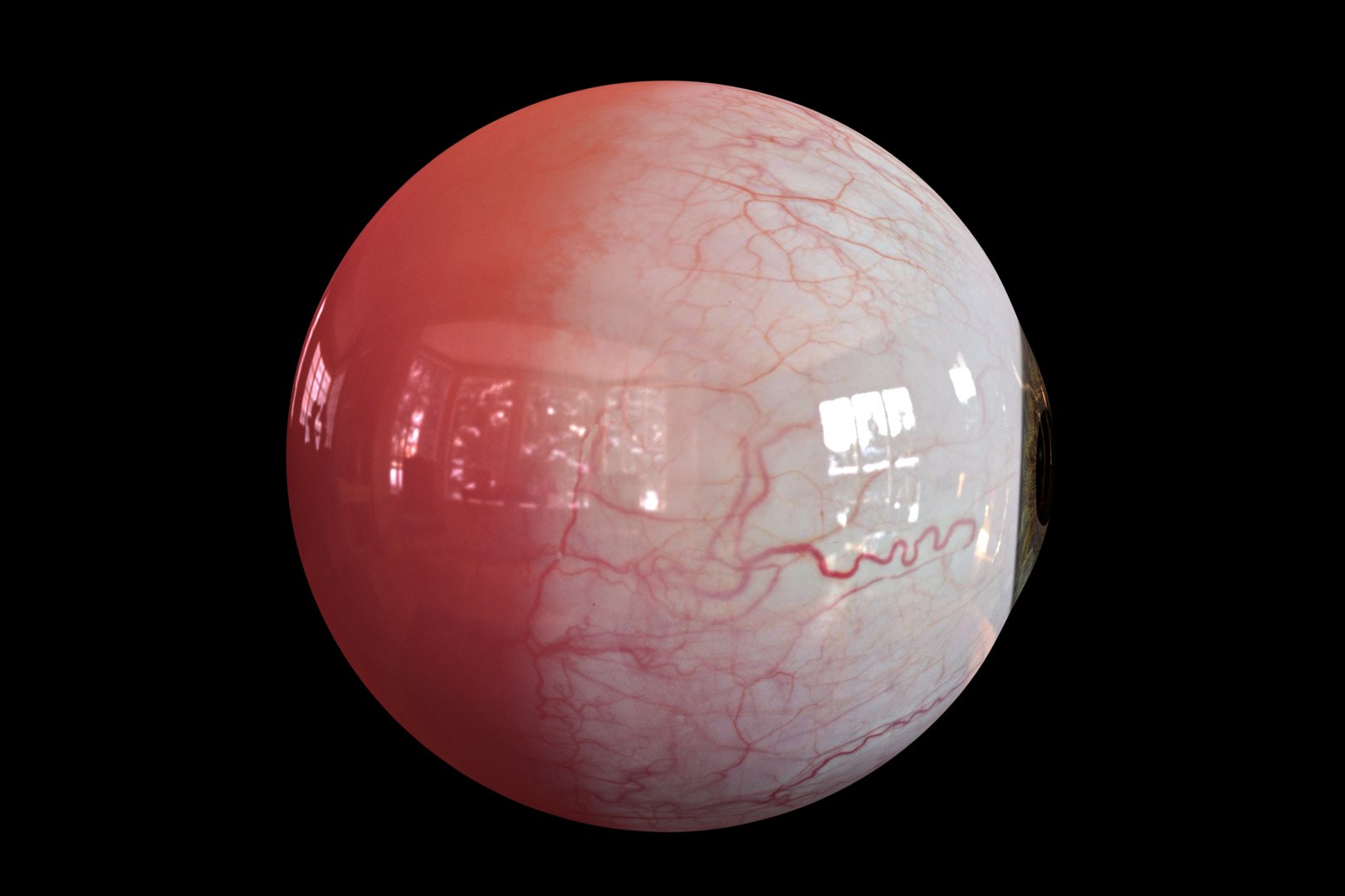 realistic human eye 3D https://p.turbosquid.com/ts-thumb/Dc/jUaBwB/E6lC7Ibj/a_4/jpg/1539295746/1920x1080/fit_q87/65ccda58554e14238d29516726855128f0a9af08/a_4.jpg