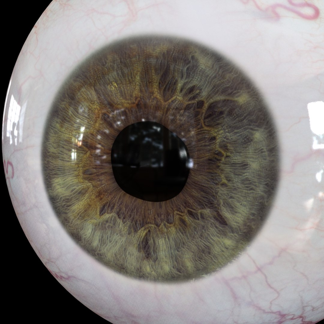 realistic human eye 3D https://p.turbosquid.com/ts-thumb/Dc/jUaBwB/T3dag3Gr/za_5/jpg/1539295746/1920x1080/fit_q87/bb71d995ede9792e113ff30560e667802ec2cf30/za_5.jpg