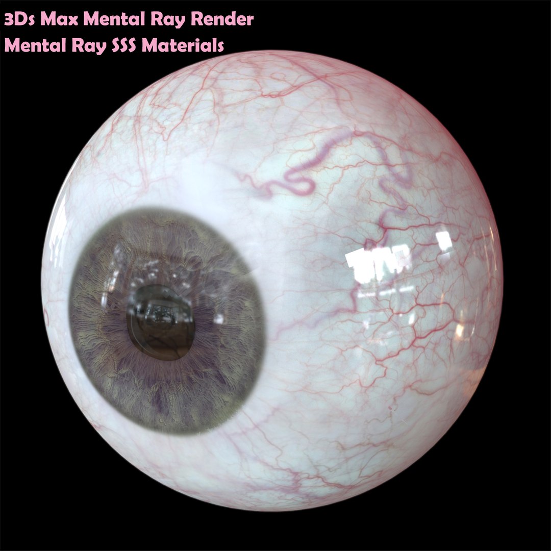 realistic human eye 3D https://p.turbosquid.com/ts-thumb/Dc/jUaBwB/stLqZW1r/m_3dsmax/jpg/1539295746/1920x1080/fit_q87/f2be75967a6a05f79fc44e5cbd9a835616d15586/m_3dsmax.jpg