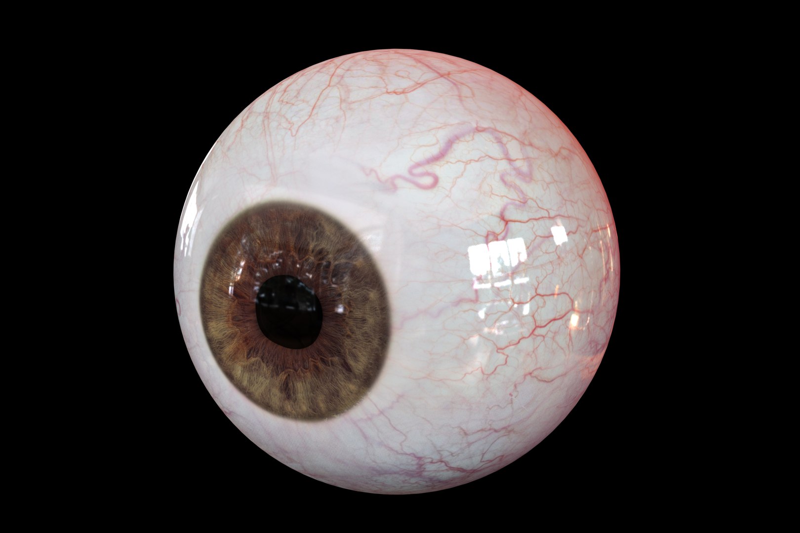 realistic human eye 3D https://p.turbosquid.com/ts-thumb/Dc/jUaBwB/xll9esF9/color_brown/jpg/1539295746/1920x1080/fit_q87/f42f18c4ecc2f97bd078dc3988671c270c5f41a7/color_brown.jpg