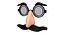 Disguise Glasses